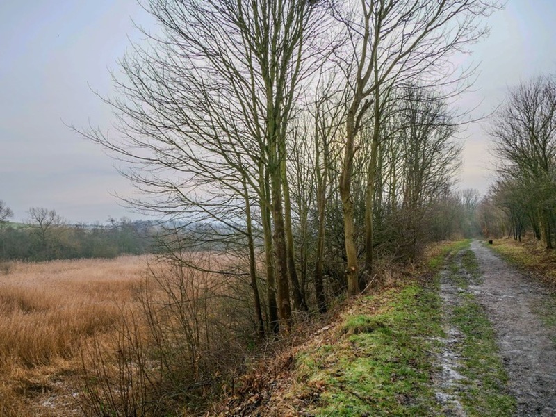 Other image for New generation of volunteers sought at award-winning nature reserve